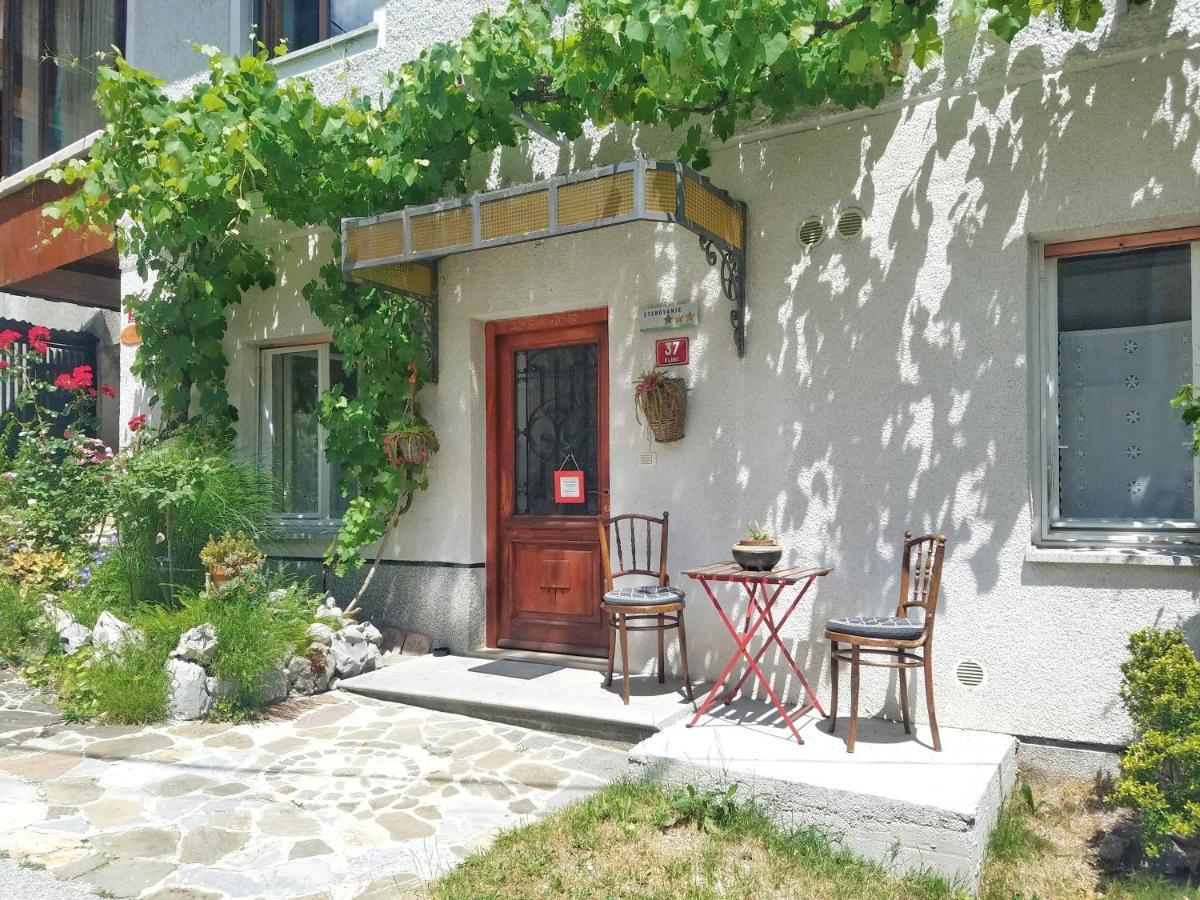 Apartma Raft, Bovec Luaran gambar
